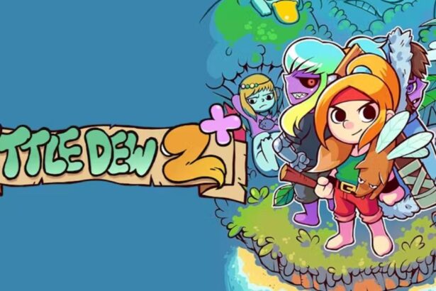 Ittle Dew 2 Save Game