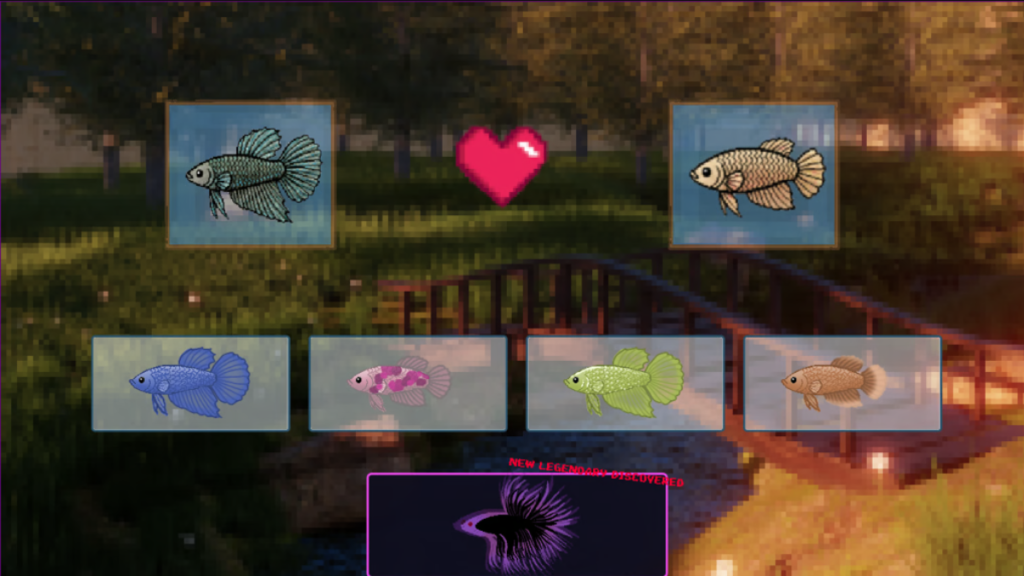 Little Bettas